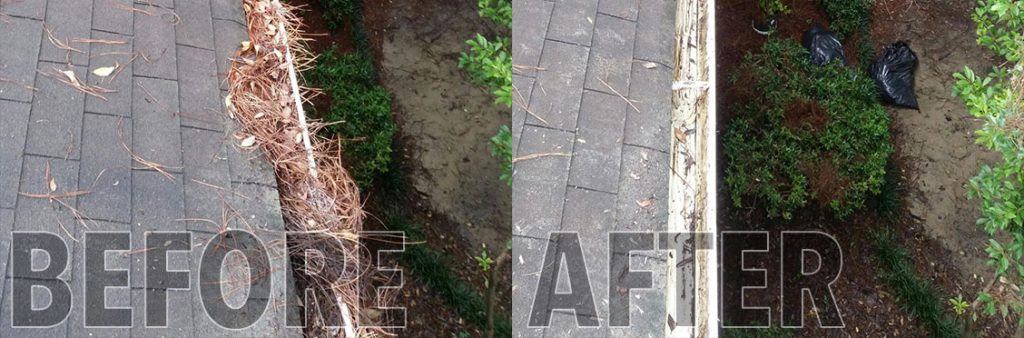 Charleston Gutter Cleaning Professionals