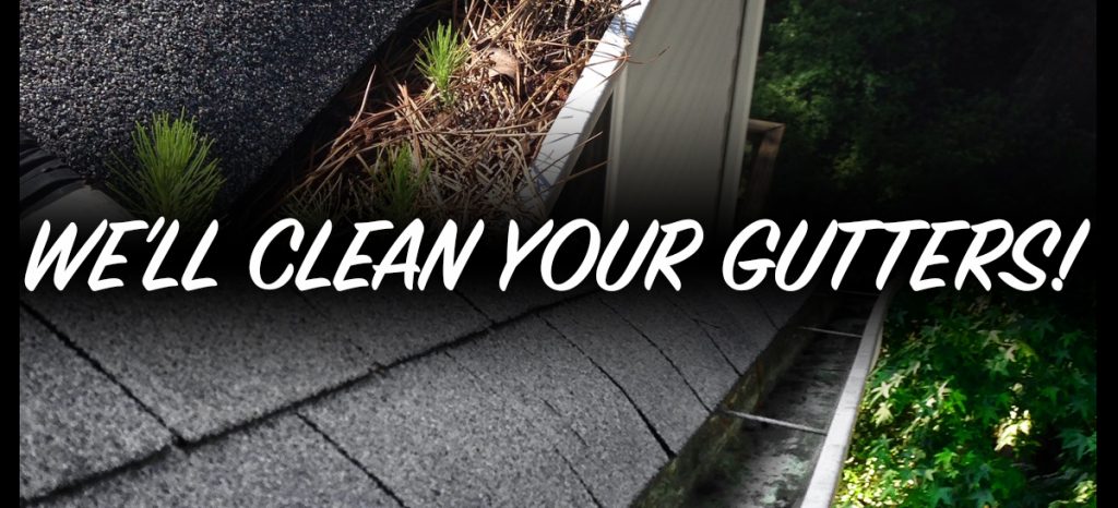 We’ll Clean Your Gutters