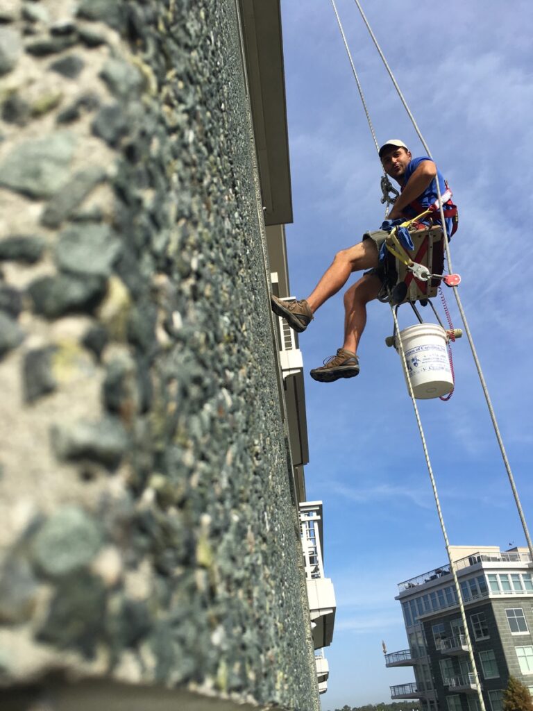 Professional Window Cleaning