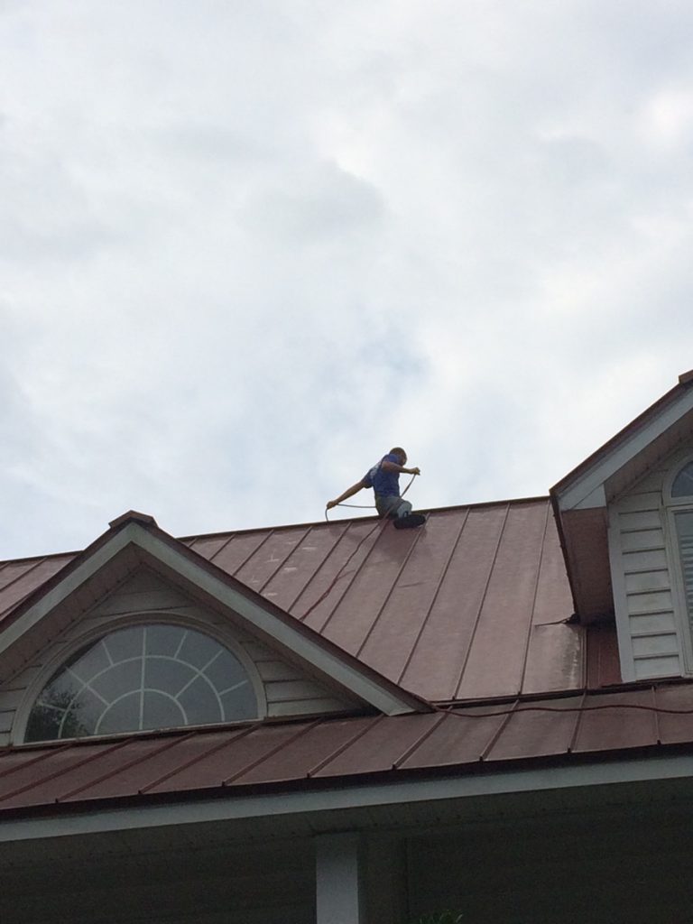 Roof Washing Service