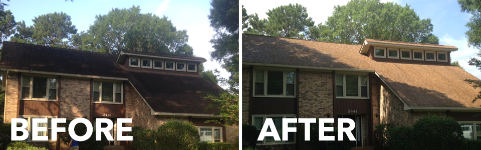 Soft Wash Roof Cleaning Near Me East Berlin CT