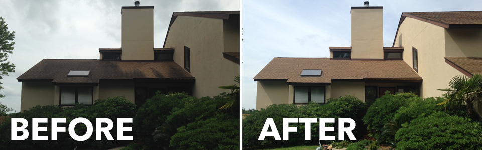 Before and After Roof Washing