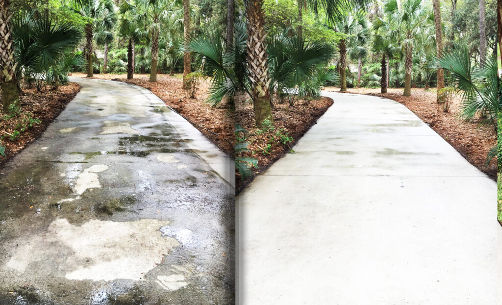 Professional Driveway Cleaning Service