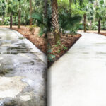 Professional Driveway Cleaning Service