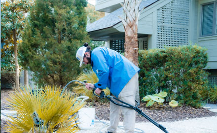 Professional pressure washing company
