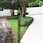 Seasonal Cleaning Service
