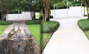 Seasonal Cleaning Service