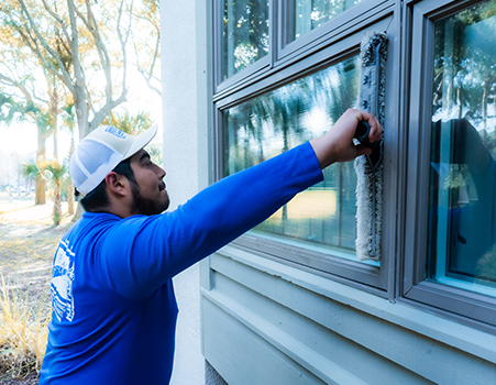 Window Cleaning