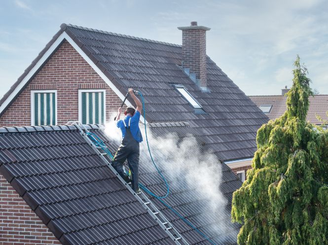 roof washing in charleston sc