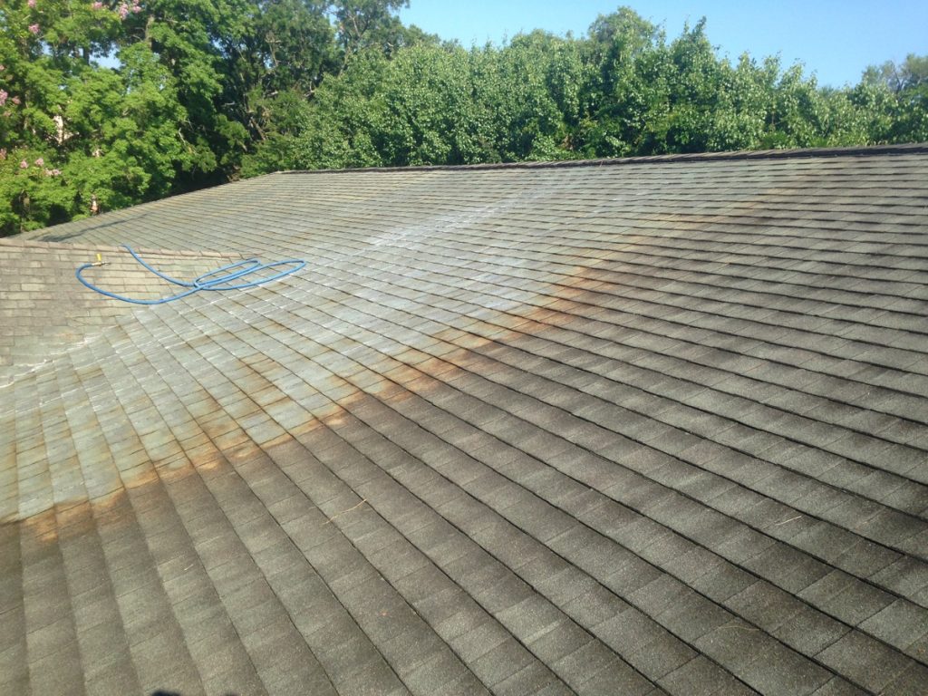 killing black mold - roof cleaning