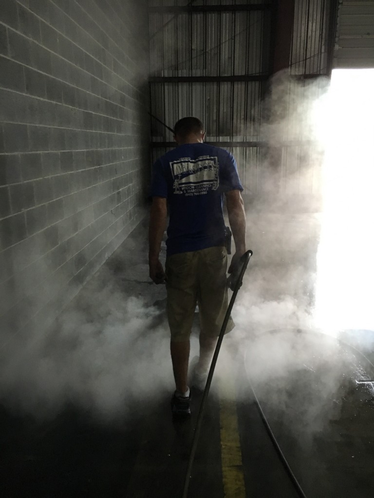 Professional Power Washing