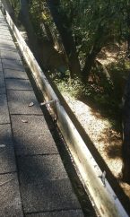 20160409_103820