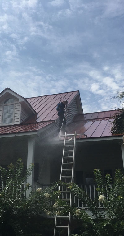 Professional Roof Cleaning